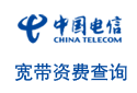 安徽电信Internet业务计费自助查询系统